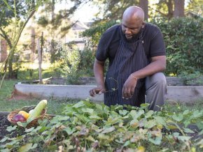 Keith Alexander working in LTSS garden gathering vegetables