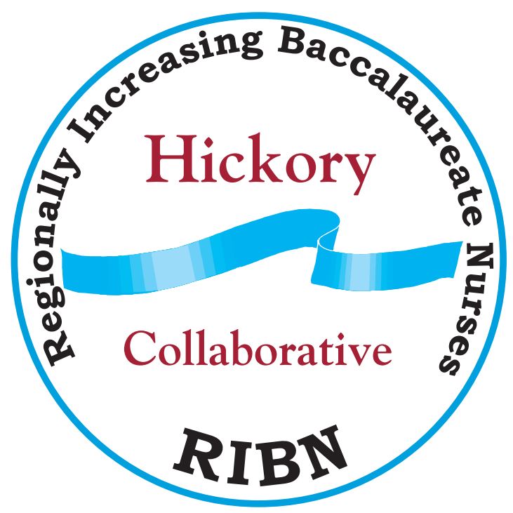 Regionally Increasing Baccalaureate Nurses logo