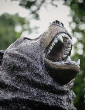 Close up of bear statue's head
