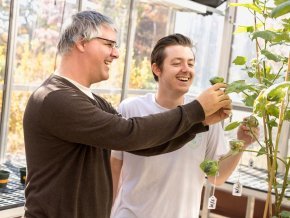 Two people working in a green house studying a plant