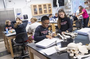 Students collaborate in an anatomy lab