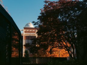 A tree stands in front of the Minges science building