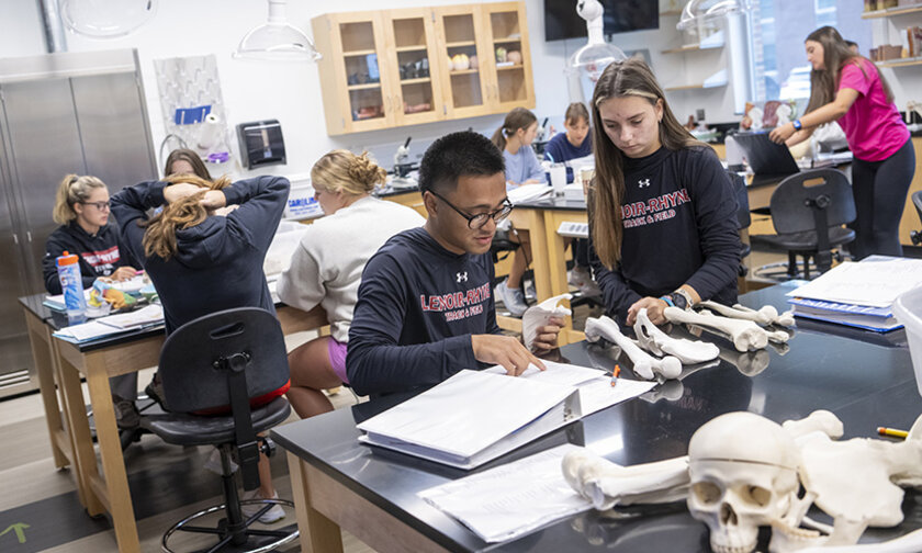 Students collaborate in an anatomy lab