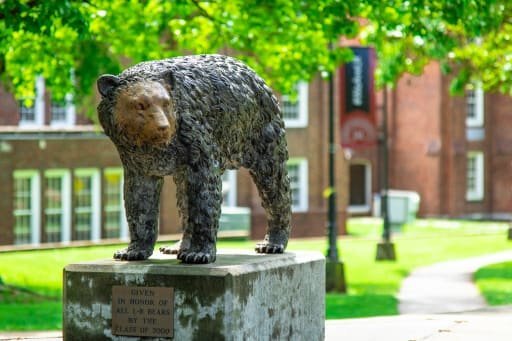 LR Bear Cub sculpture
