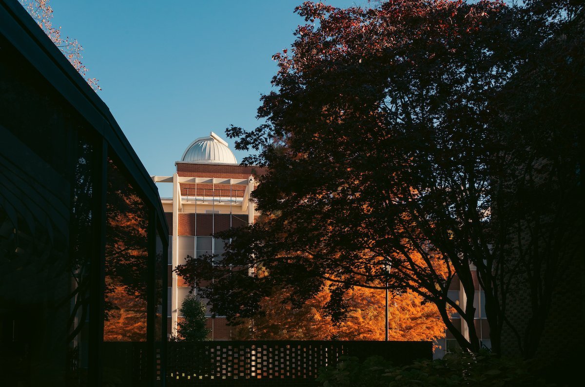 A tree stands in front of the Minges science building