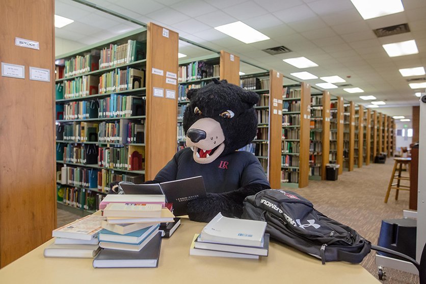 Joe Bear studying in the learning commons