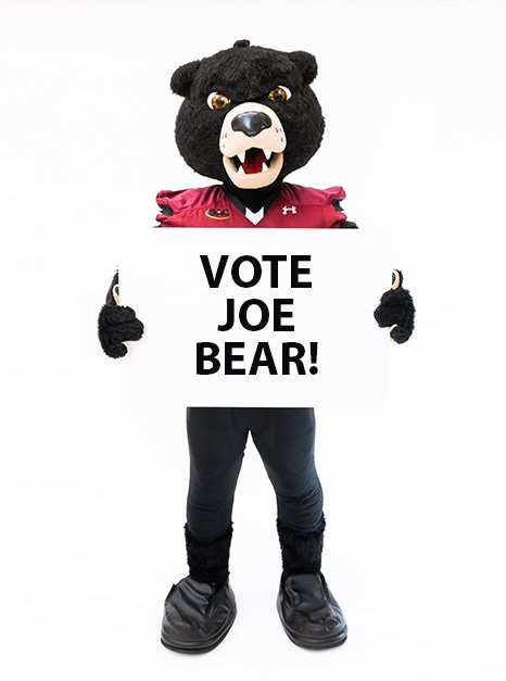Vote Joe Bear