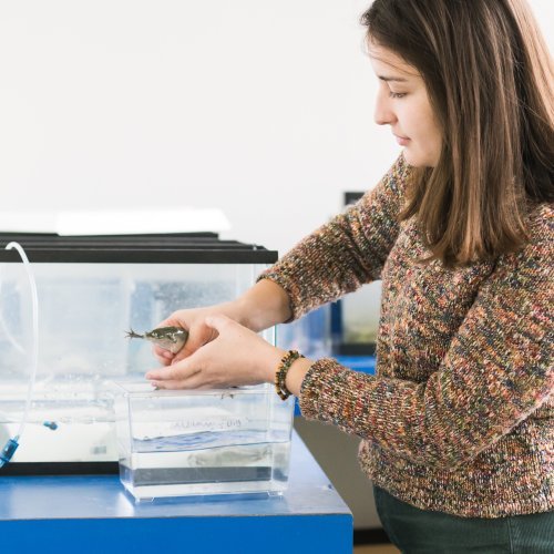 Maggie Keller holds a frog inside a lab
