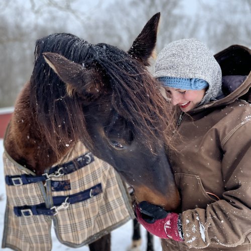 Bringing the science behind horses to life for a young generation