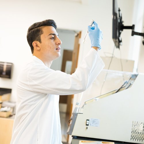 Diego Sanjuan working on research