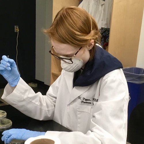 Sydney Karre conducts study