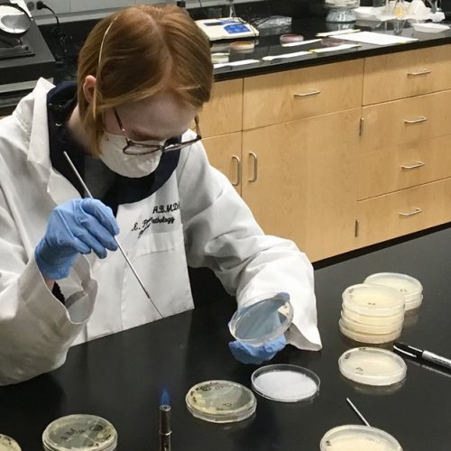 Sydney Karre conducts study