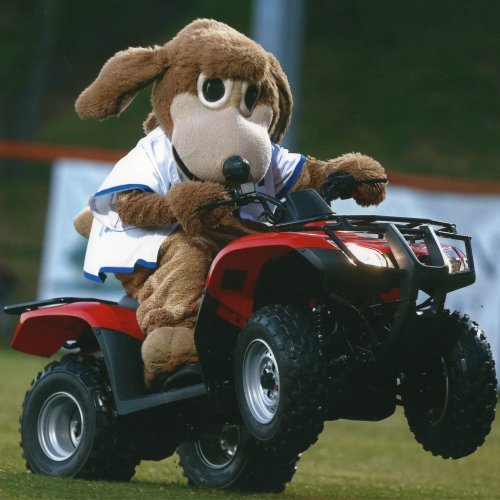 Joby Giacalone wears a dog mascot costume while riding a four wheeler outside