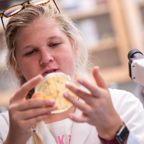 Bethany Perry examining a petri dish while working in biology lab on her student research