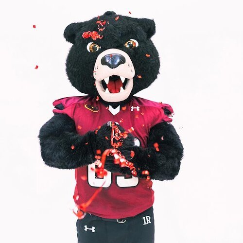 Joe Bear throwing confetti