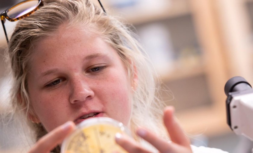 Bethany Perry examining a petri dish while working in biology lab on her student research