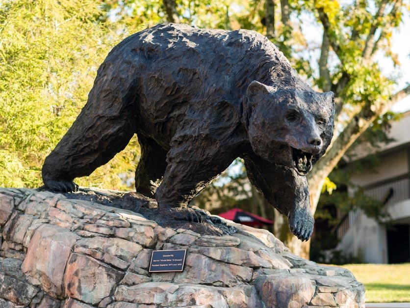 Bear Charge