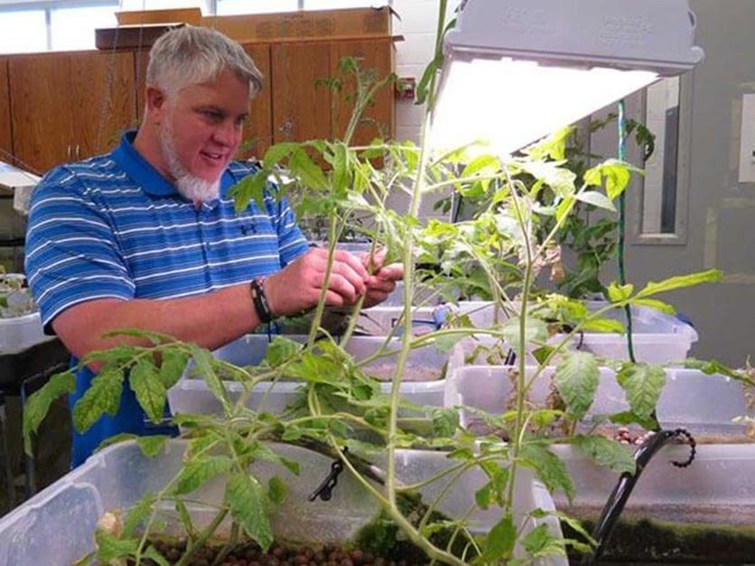 A professor studying plants in a lab