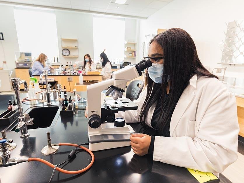 A student looks through a microscope