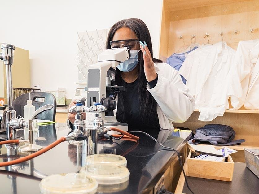 A student looks through a microscope