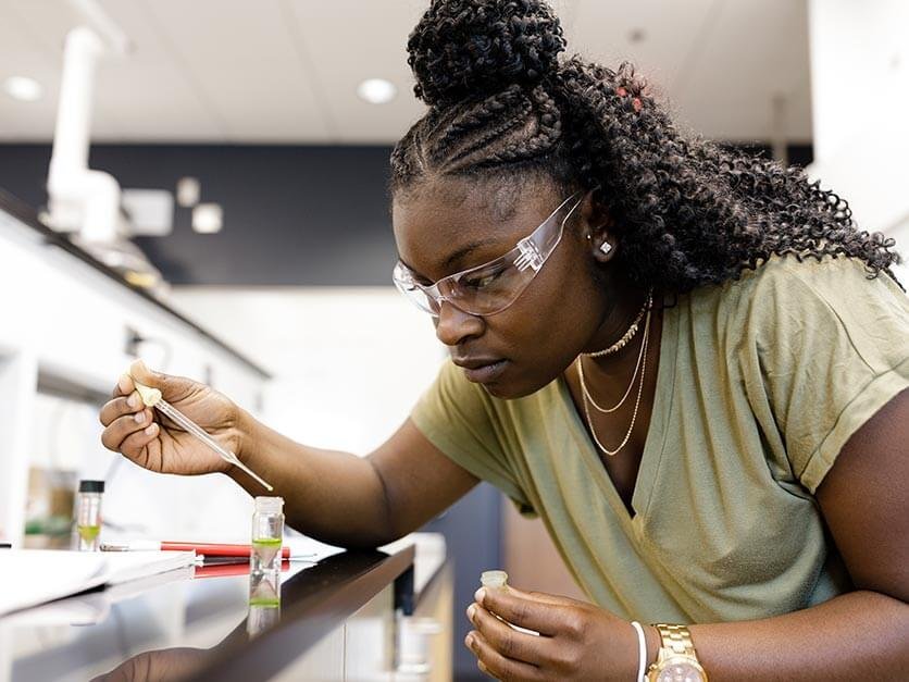 A student conducts research in a lab