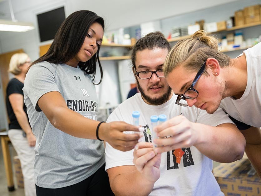 Students working on a project in a science lab