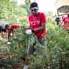 Students doing community service clean up at local nonprofit