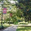 LR Banners along campus sidewalk