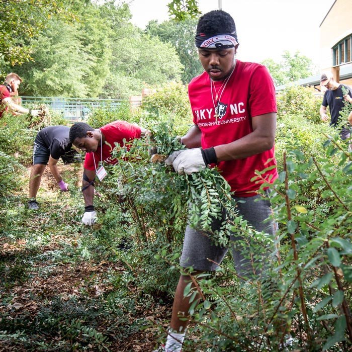Student volunteers working at local nonprofit cutting back landscaping