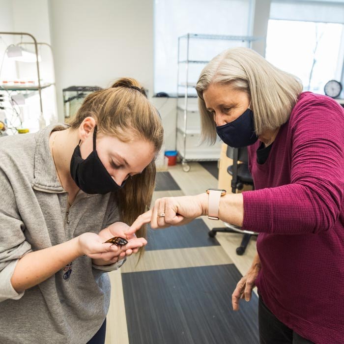 A student examines an insect working with a professor in science lab